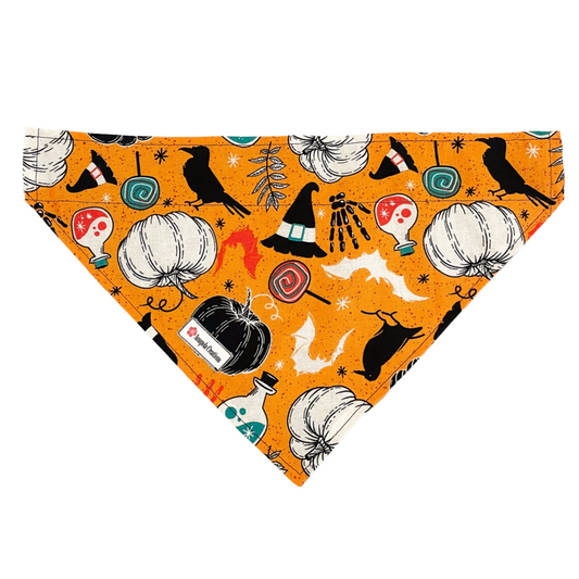 Halloween Bandana for Pets