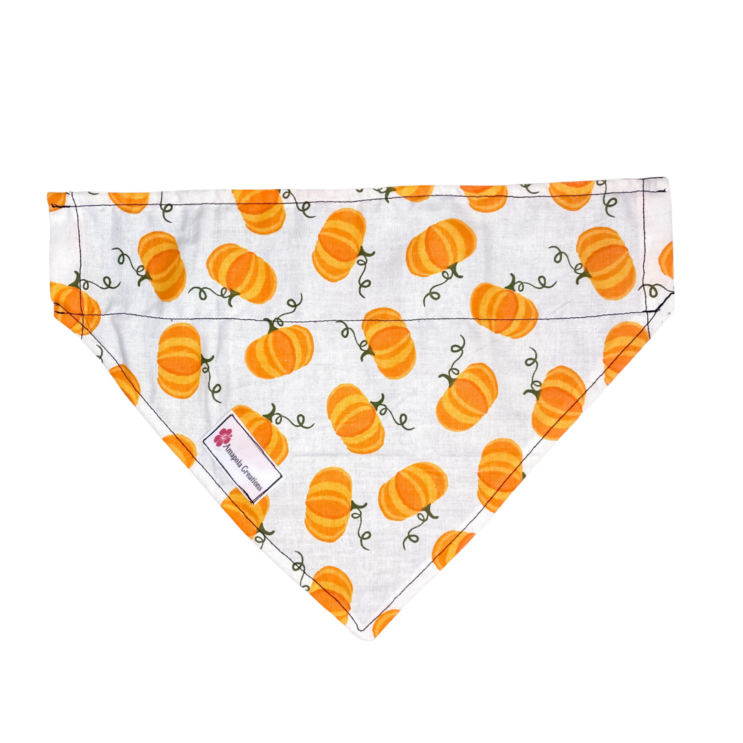 Pumpkin Bandana for Pets